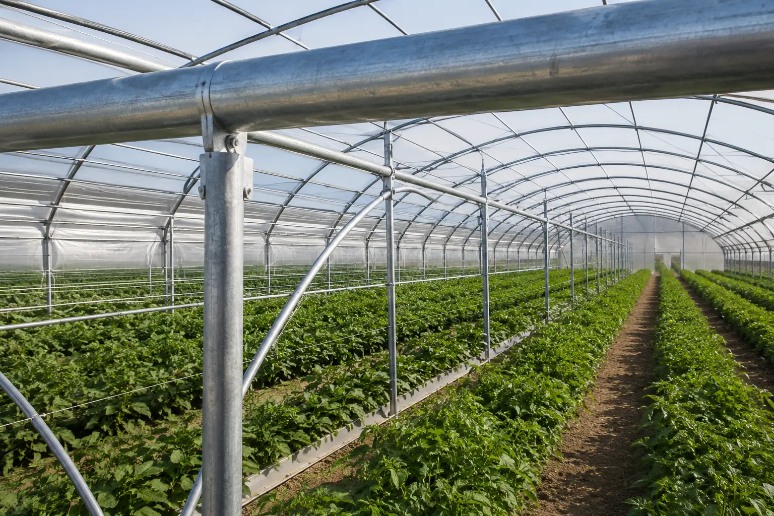 Structure agricole en acier galvanisé résistante à la corrosion installée dans une exploitation agricole marocaine.